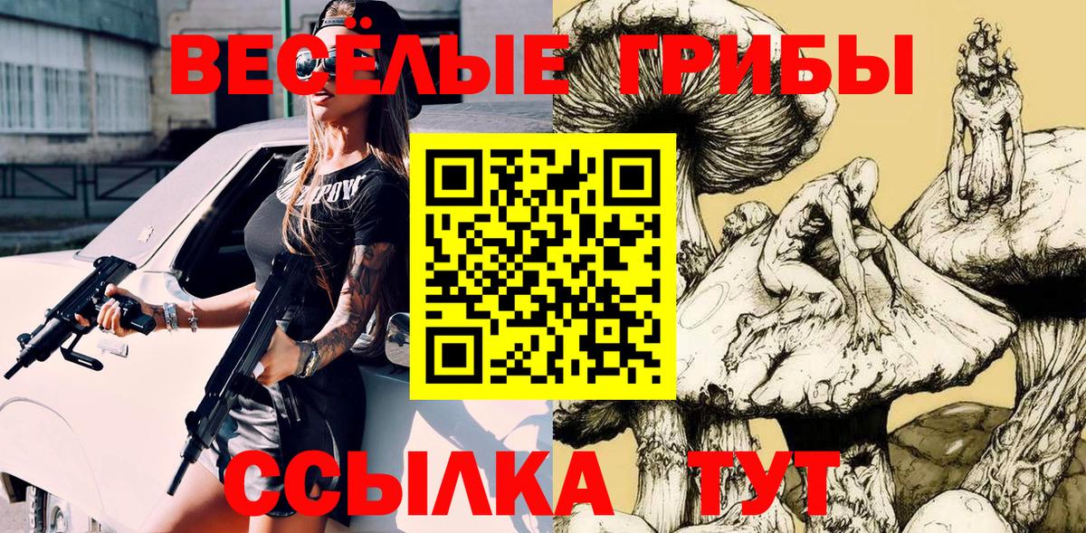 Галлюциногенные грибы Psilocybe Бийск