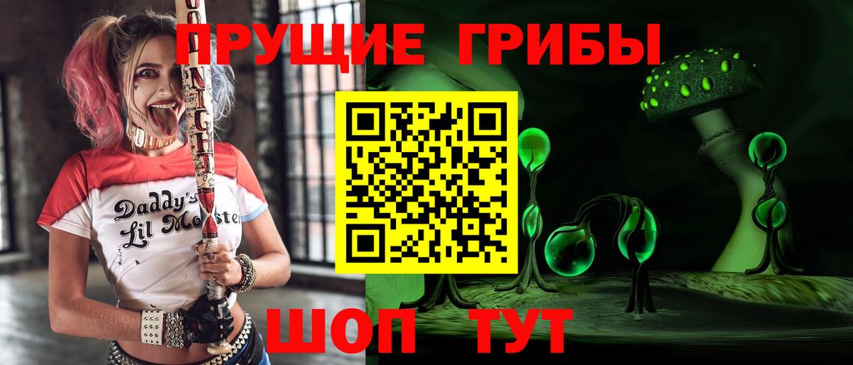Бийск  Галлюциногенные грибы ЛСД  Вход с VPN 